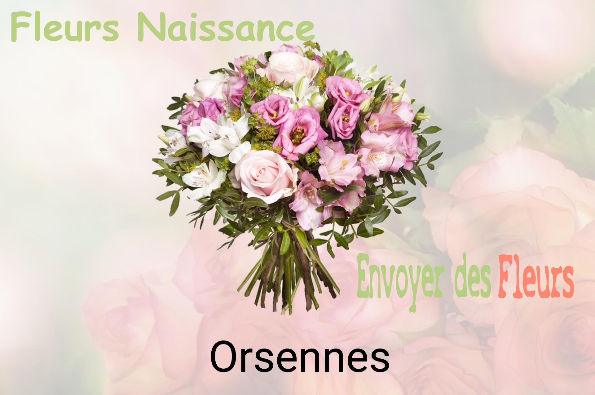 Bouquet de fleurs de naissance livré à Orsennes